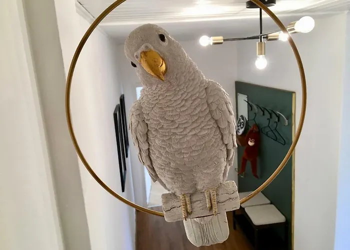 Stadtoase Appartement